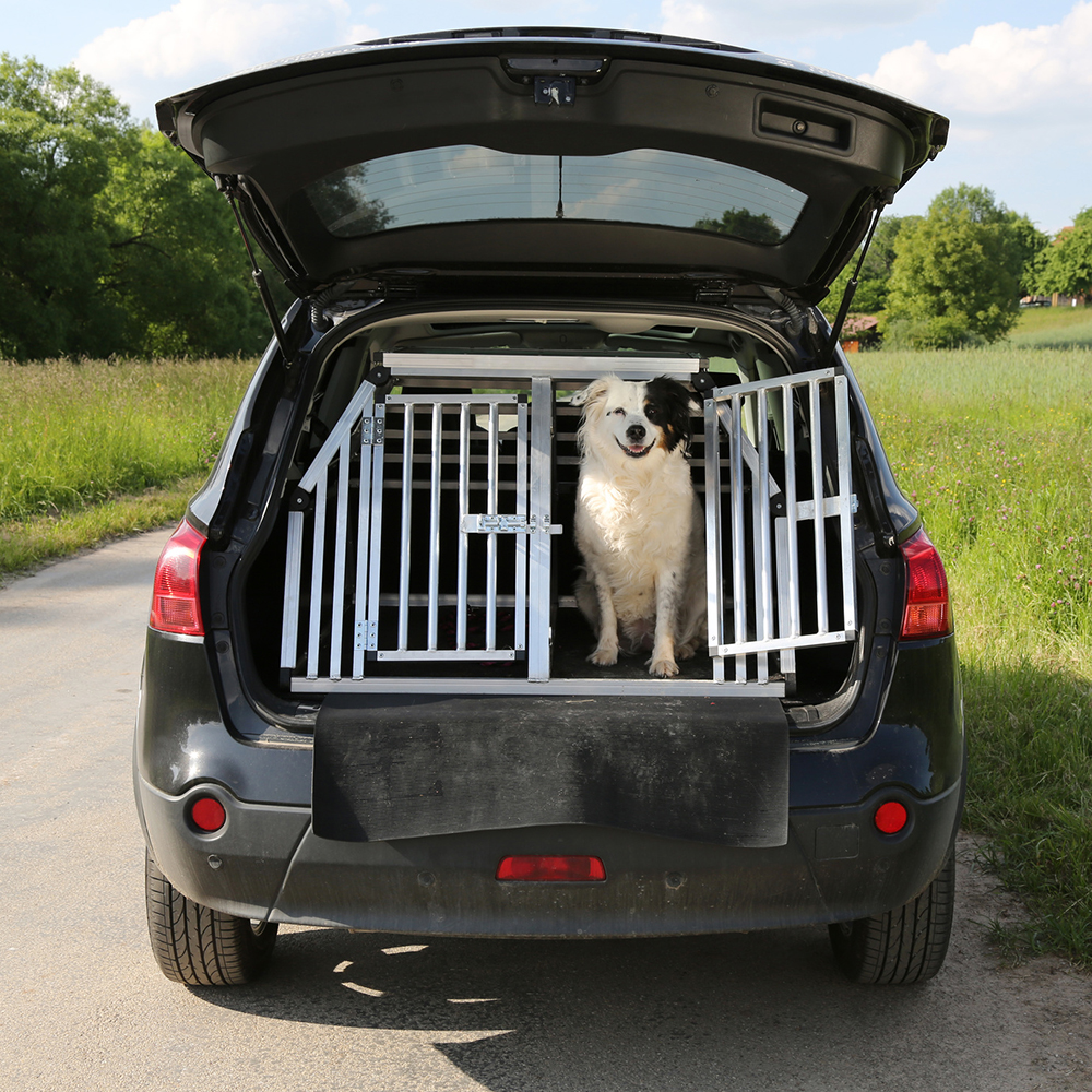 Hund in einer Transportbox im Auto