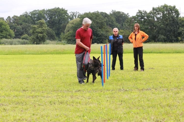 Hunde Training Beziehung Mensch