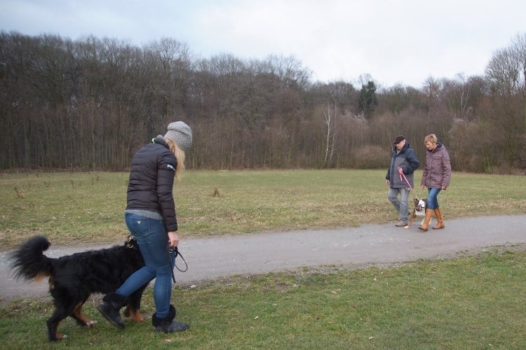 Training für die Maulkorbbefreiung