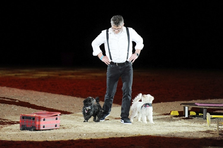 Gewinner Wolfgang Steffens DOGLIVE 2016