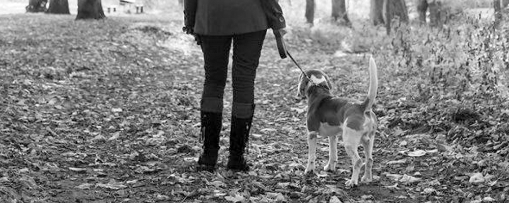 Mensch mit Hund im Wald