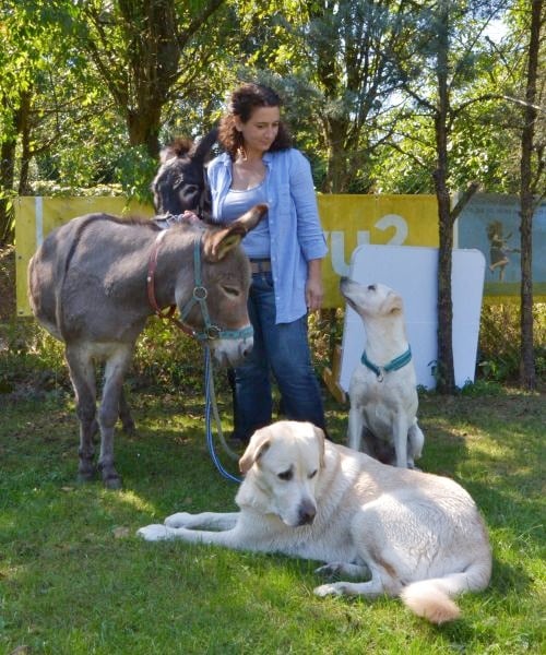 Hundetraininerin Nadia Winter mit einigen ihrer Tiere.