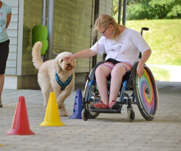 Therapiehund mit Kind