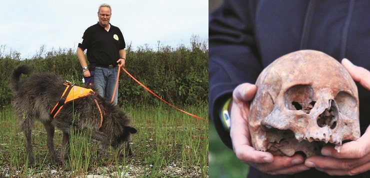 Archäologiehund Flintstone sucht menschliche Knochen.