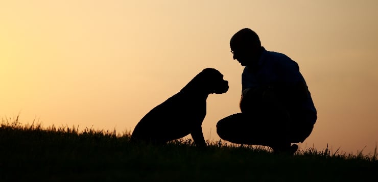 Sil­hou­et­te Mann mit Hund