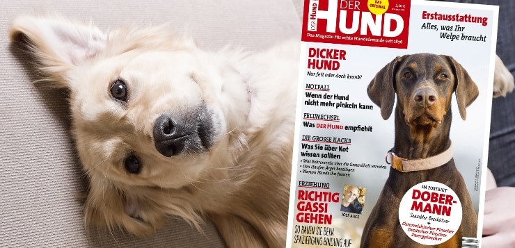 Ausgabe 5/18 des Magazins DER HUND