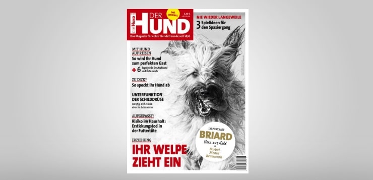 Cover 6/18 von DER HUND