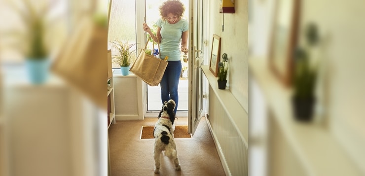 Hund begrueßt Frau an Haustuer.