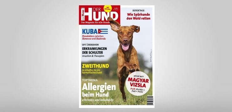 Ausgabe 8/2018 von DER HUND