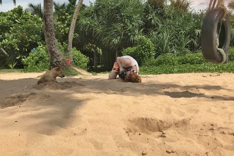 Fotografin schießt Foto von Hund