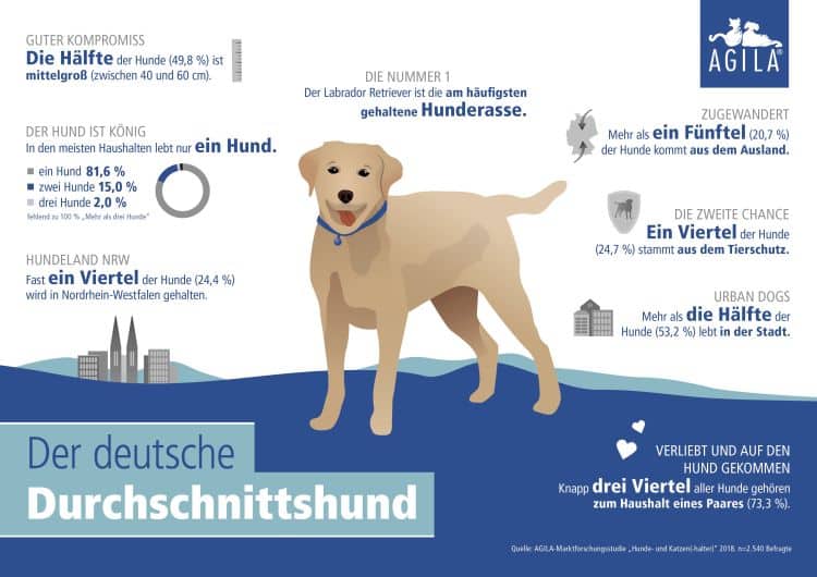 Daten über den deutschen Durchschnittshund