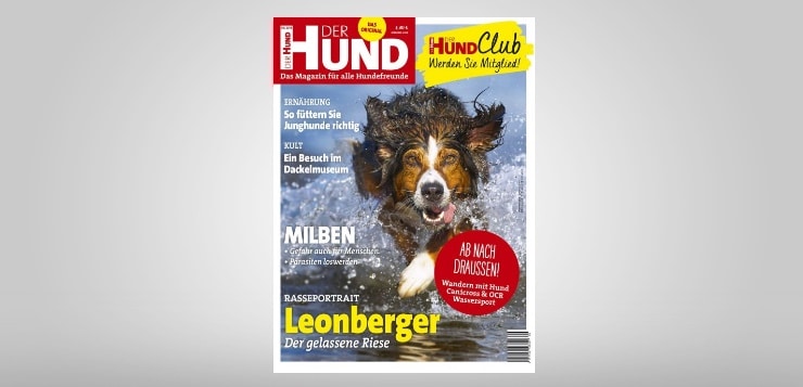 Der Hund 9/18 Cover