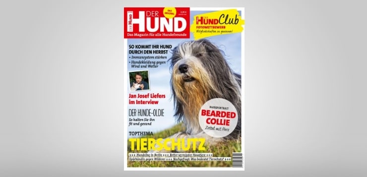 Ausgabe 11/18 von DER HUND