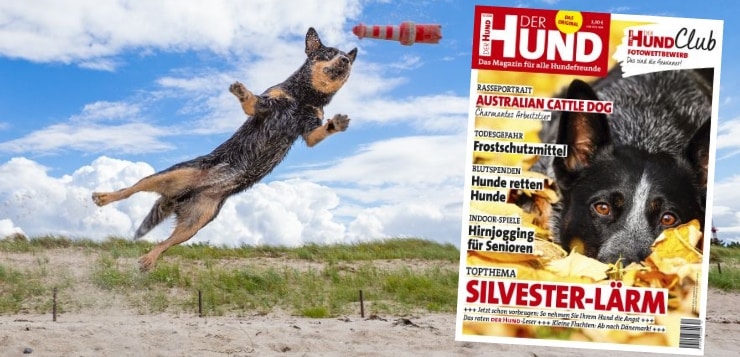 DER HUND, Ausgabe 12/2018