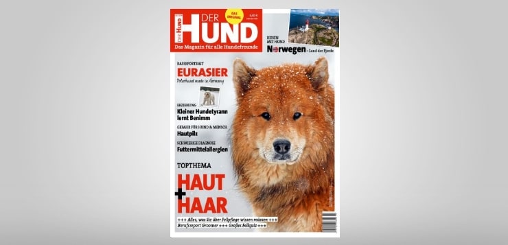 DER HUND Ausgabe 2/19