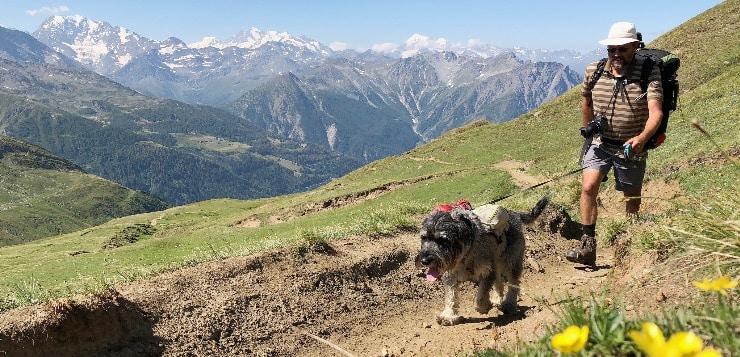 Peter Frommenwiler und Hündin Chia bei ihrer Schweiz-Wanderung.