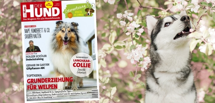 Ausgabe 5/19 von DER HUND