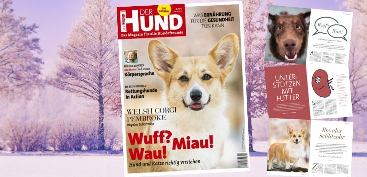 Cover und einige Seiten der Ausgabe 2/20 von DER HUND