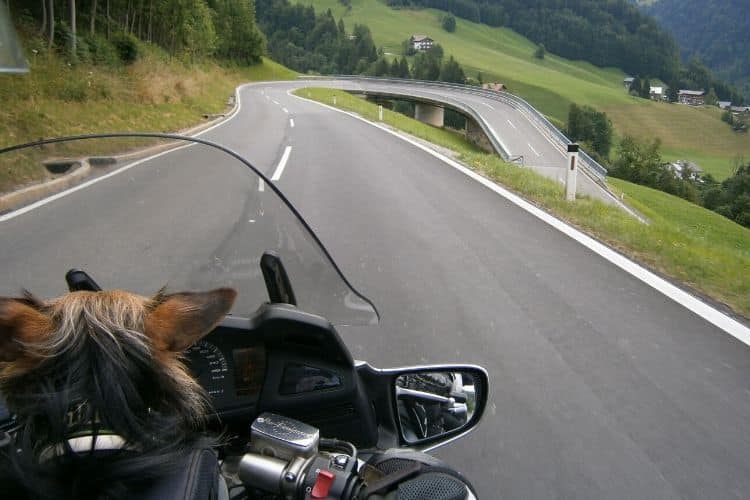 Aussicht von Motorrad auf Straße