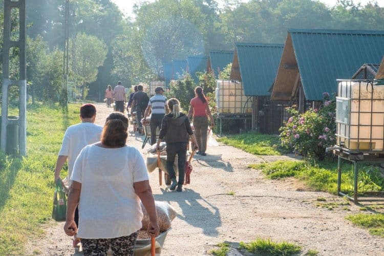 Tierpfleger fahren mit Schubkarren zur Fütterung