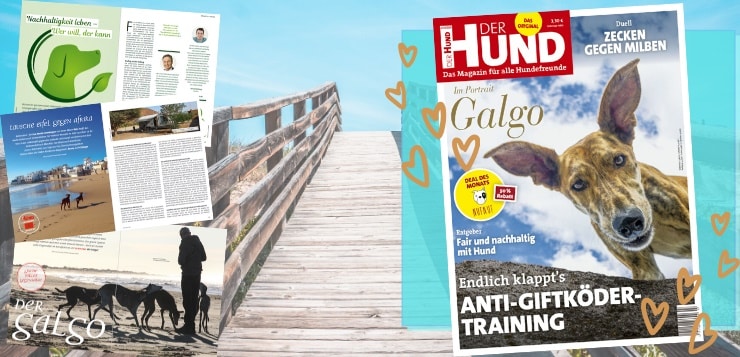 Ausgabe 07/20 von DER HUND