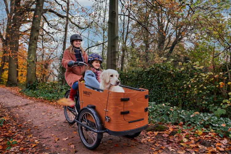 Kind und Hund in Babboe Lastenfahrrad