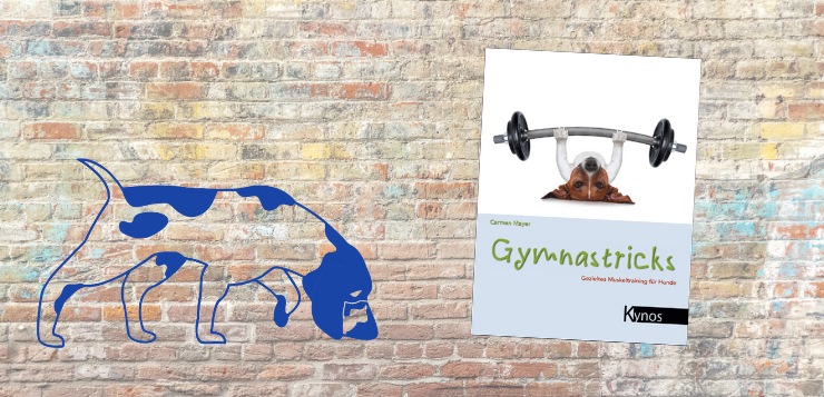 Buch-Rezension Gymnastricks Meyer