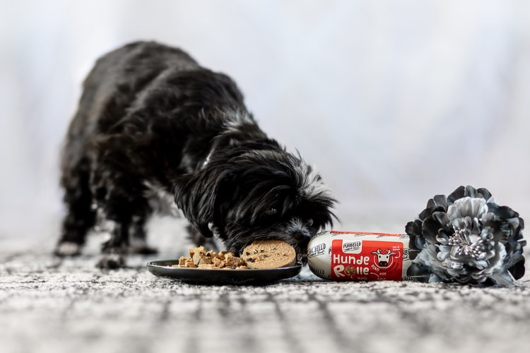 Miko, ein kleiner schwarz-weißer Hund, frisst Purbello HundeRolle, die zerschnitten auf einem Teller liegt. Die Wurst mit rotem Etikett liegt daneben.