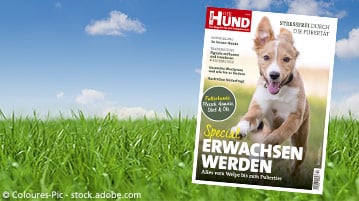 Der Hund Sonderheft Erwachsen werden