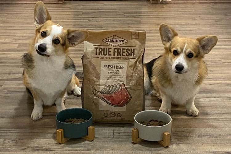 Bud und Terence mit einem großen Sack Carnilove True Fresh