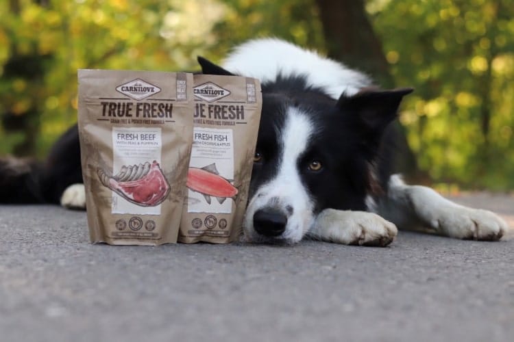 Border Collie Army liegt neben 2 Packungen True Fresh (Beef und Fish)