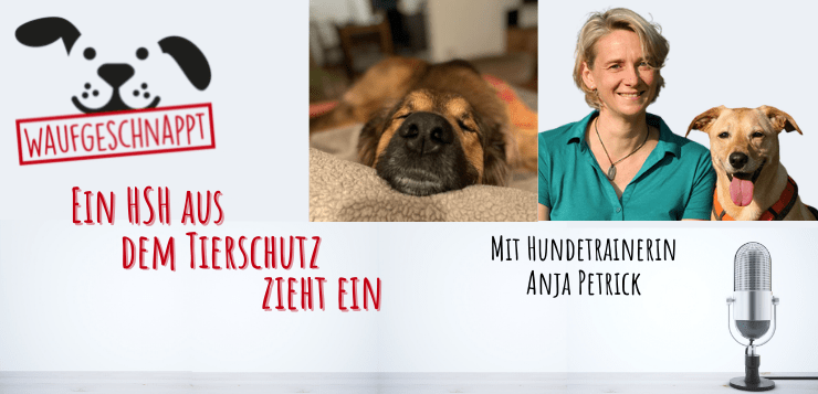 Hundetrainerin Anja Petrick spricht darüber, wie sie Herdenschutzhund Yuno aus dem Tierschutz hilft.