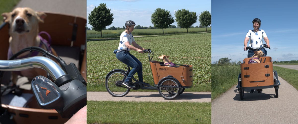 Chefredakteurin Susanne Steiger mit ihrer Hündin Paula im Lastenrad von Babboe.