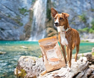 Ein Hund steht neben einem Sack Carnilove True Fresh, im Hintergrund ist ein Wasserfall zu sehen