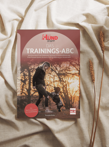 Veronika Rothe: Das Trainings-ABC