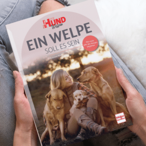 Buch: Ein Welpe soll es sein